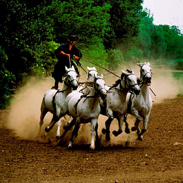 From Budapest: Puszta Horse Show and Countryside Visit - Lajosmizse farm time: aperitif, spirits, and a hearty lunch setup