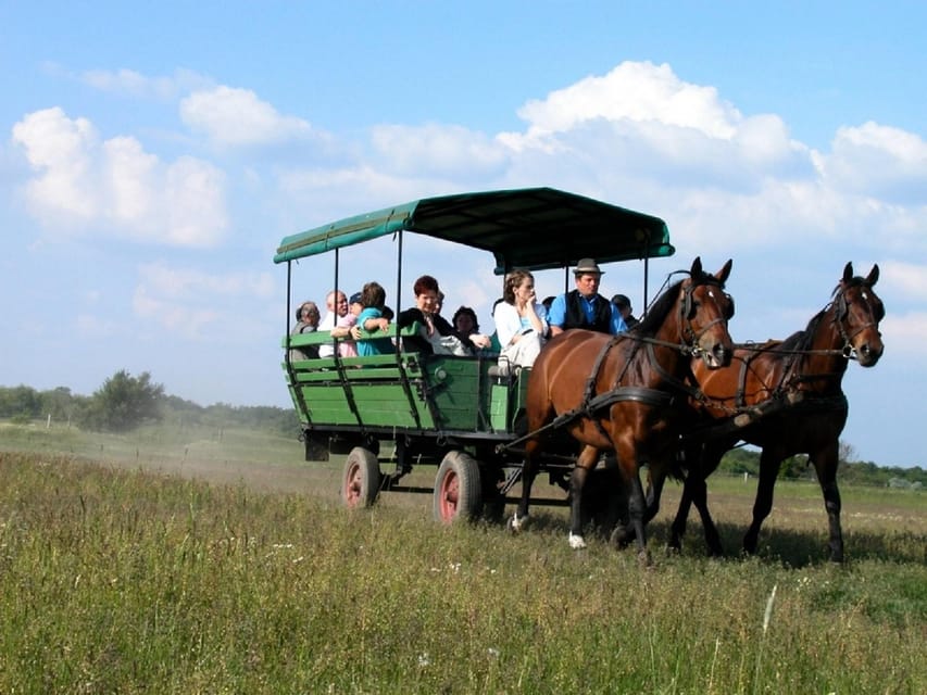 From Budapest: Puszta Horse Show and Countryside Visit - Logistics that matter: timing, meeting point, and getting back to Budapest