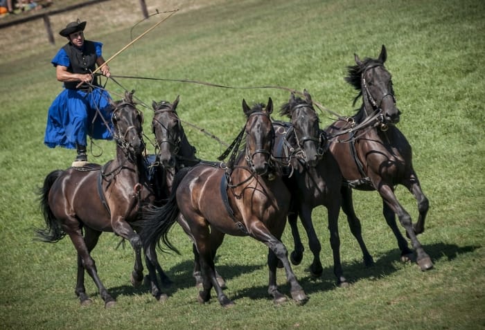 From Budapest: Puszta Horse Show and Countryside Visit - Kecskemét walk: photos, a guided circuit, and bell-music vibes