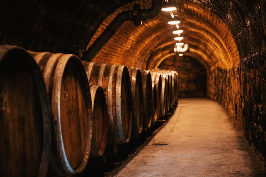 Guided wine tasting at Rókusfalvy Estate - The press house tasting: how the 4-item flow stays enjoyable