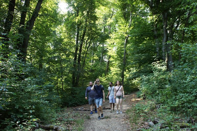 Hiking in Budapest - Half-Day vs Full-Day Upgrade: When Longer Time Is Worth It