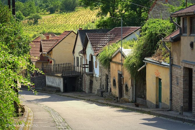 Home to Bull's Blood red wine! Eger with winetaste private tour - Eger Castle: armoury, dungeon, casemates, and panorama views