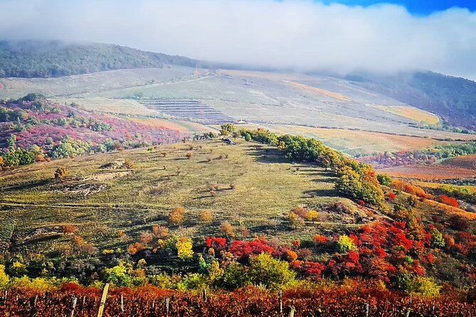 Home to Bull's Blood red wine! Eger with winetaste private tour - Hotel pickup and private guide comfort in Budapest