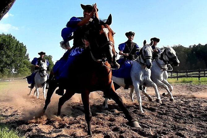 Horseshow on the Hungarian Puszta, private tour from Budapest with entry! - Stables Time and How It Changes the Horseshow From Spectacle to Skill