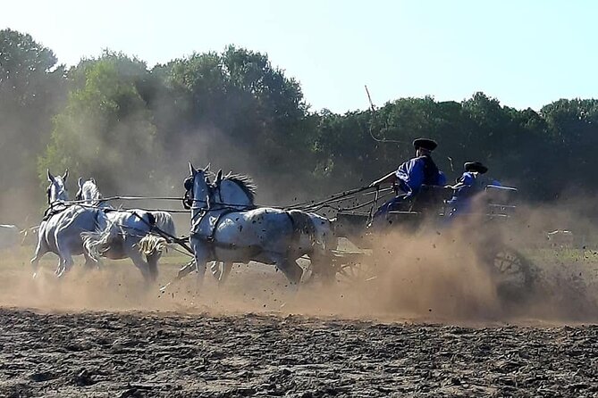 Horseshow on the Hungarian Puszta, private tour from Budapest with entry! - The Horseshow: Carriages, Music, and Serious Horsemanship