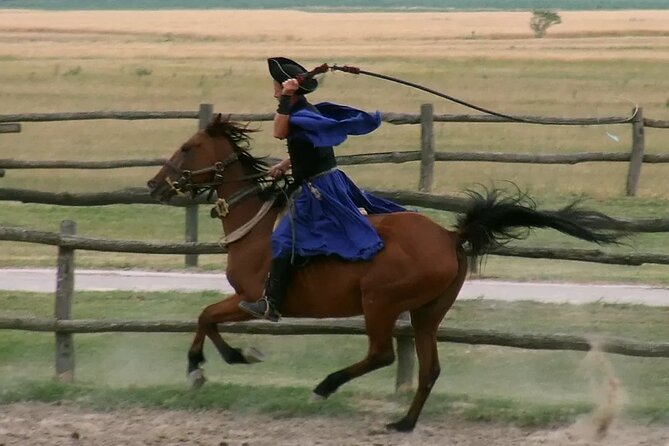Horseshow on the Hungarian Puszta, private tour from Budapest with entry! - Price and Value: What $360 Per Person Gets You