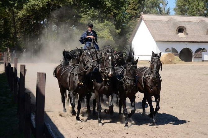 Horseshow on the Hungarian Puszta, private tour from Budapest with entry! - Private Hotel Pickup and a 10:00 Start That Fits Real Travel Days