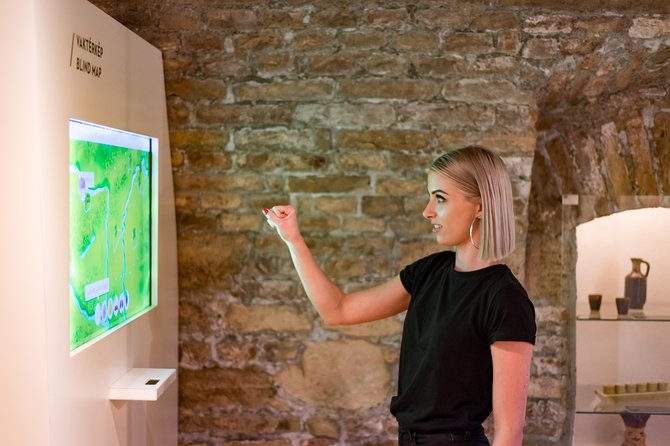 Hungarian Gastro Cellar: Assisted Tasting Options - Timing, mobile ticket, and how long you really need