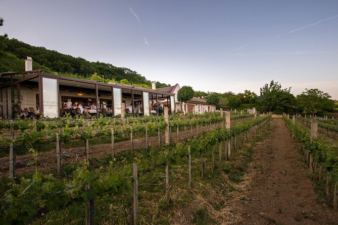 Lake Balaton Full Day Private Wine Tour - Who this tour suits best (and who should think twice)