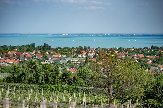 Lake Balaton Full Day Private Wine Tour - Tihany Echo stop: Abbey views and a village walk that feels human