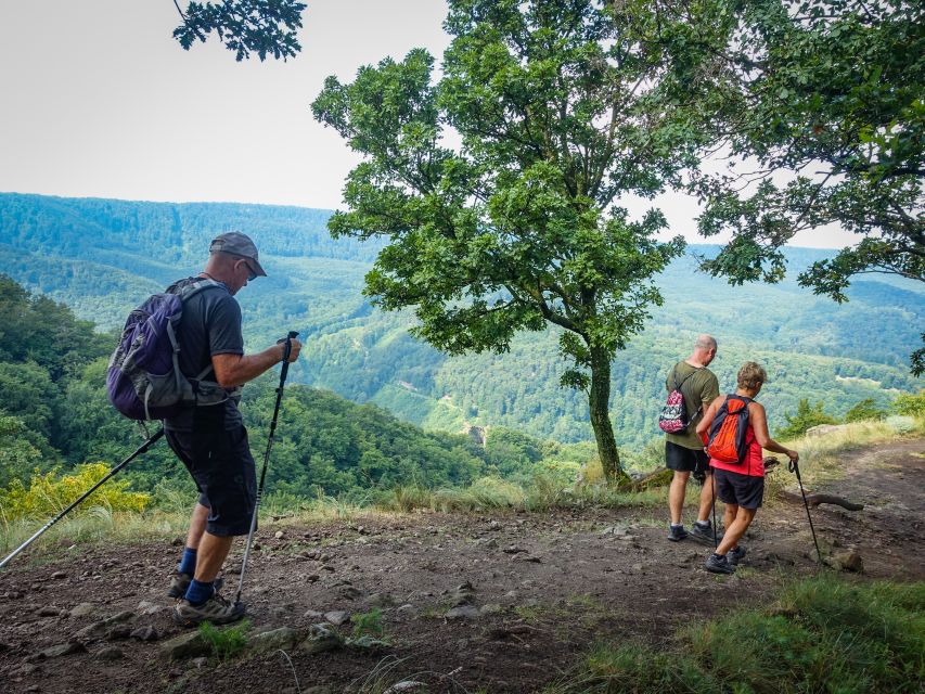 One Day Wonder Hike - The Essence of the Danube Bend - Predikaloszek to the valley: a long downhill with water-made cuts