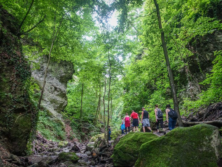 One Day Wonder Hike - The Essence of the Danube Bend - The Visegrád Castle ticket: tying the hike to the bigger picture