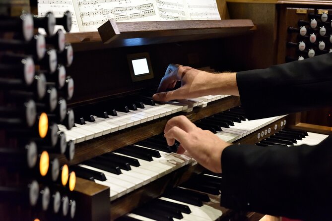 Organ Concert in the St. Stephen's Basilica - Choosing Your Seat: Category 1 vs Middle Sections