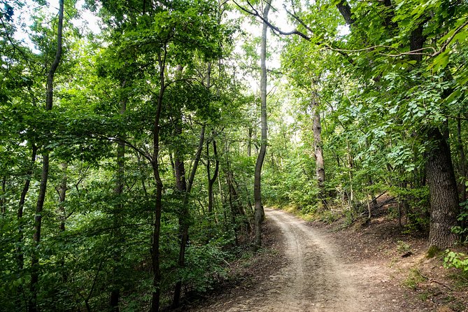 Panoramic hike around Budapest - Water, snacks, and pacing on a moderate forest hike
