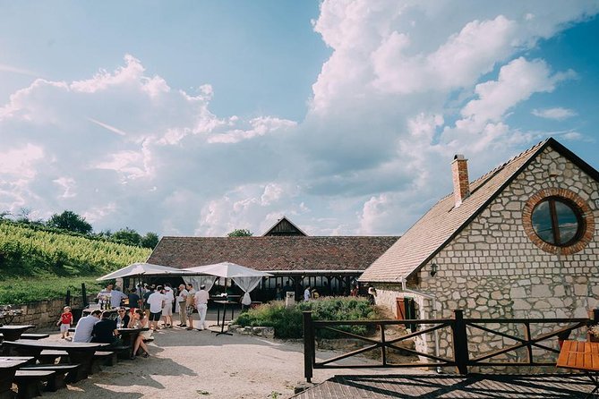 Private Etyek Wine tour with dinner including a Budapest Danube Evening Cruise - Practical tips so you enjoy every stop