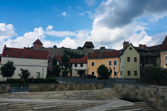 Private Full Day Tour to Eger - History, Culture and Wine - Wine in Szépasszony-valley: choose what you like