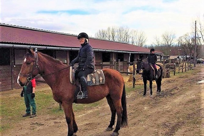 Private Horse Riding near Budapest with transport - Why Dunakeszi Forest Horse Riding Feels Like a Different Hungary
