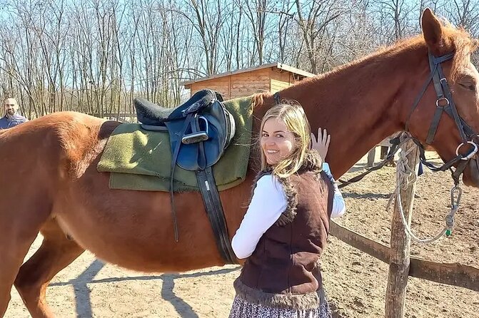 Private Horse Riding near Budapest with transport - Horses, Pace, and How Personal the Day Can Be