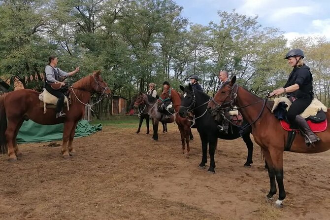 Private Horse Riding near Budapest with transport - Weather, Safety, and Ride Length: What You Can Plan Around