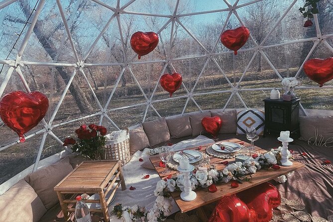 Private Igloo Picnic Experience Hungary - Key Highlights I’d Put On Your Radar