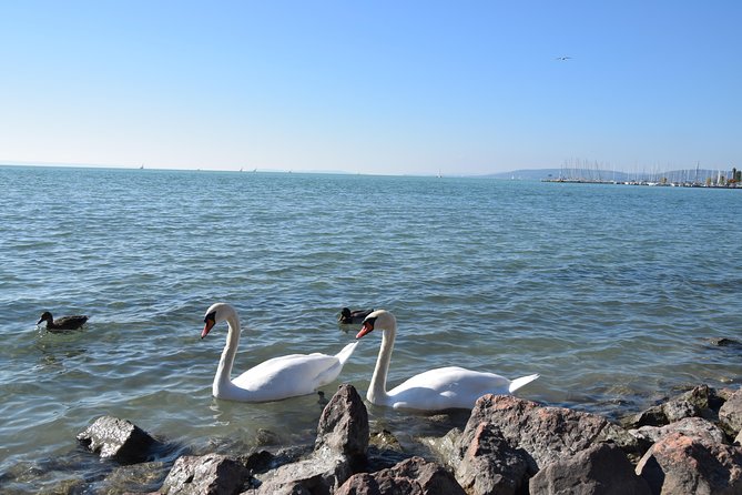 Private Lake Balaton Experience with an unforgettable Wine Tasting - The value of private guide attention, with Gabor Dora behind the scenes