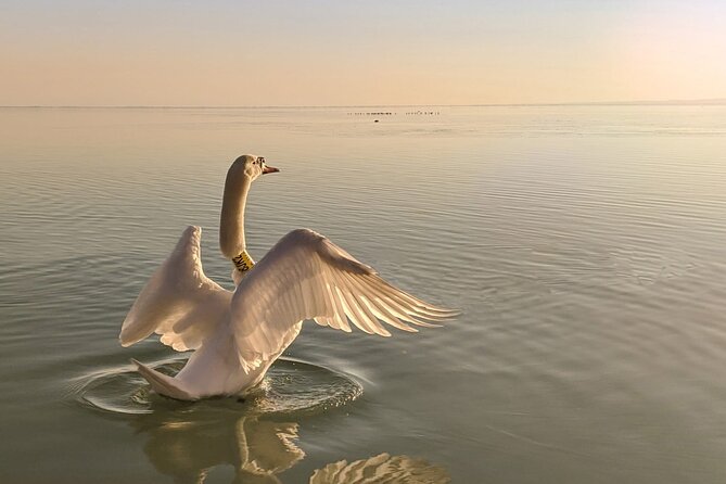 Private tour from Budapest to a top hidden treasure region of Europe: Lake Balaton - Stop 3: Balatonfüred, promenade stroll and mansions