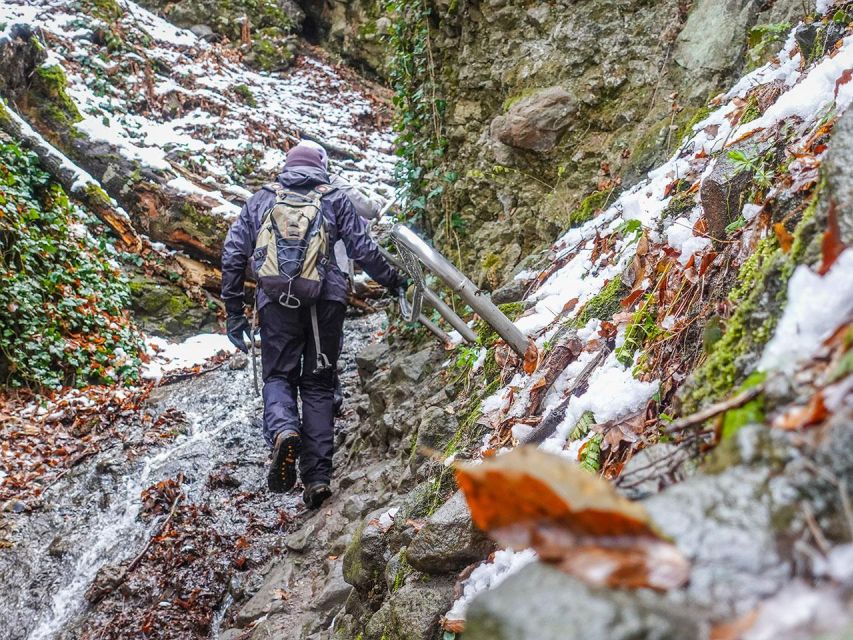 Ram Gorge Hiking Adventure - The Budapest to Dömös transfer: why the van time matters