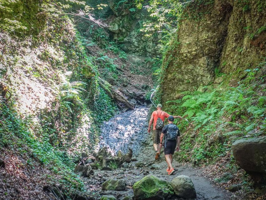 Ram Gorge Hiking Adventure - Wildlife and bird time: why the gorge feels alive