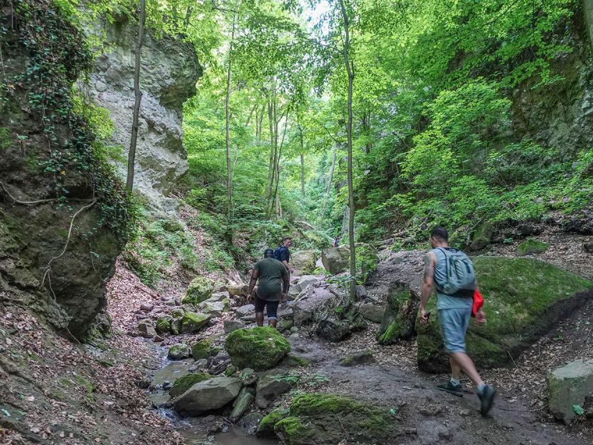 Ram Gorge Hiking Adventure - Visegrád Mountains context: volcanic rocks and wildlife clues