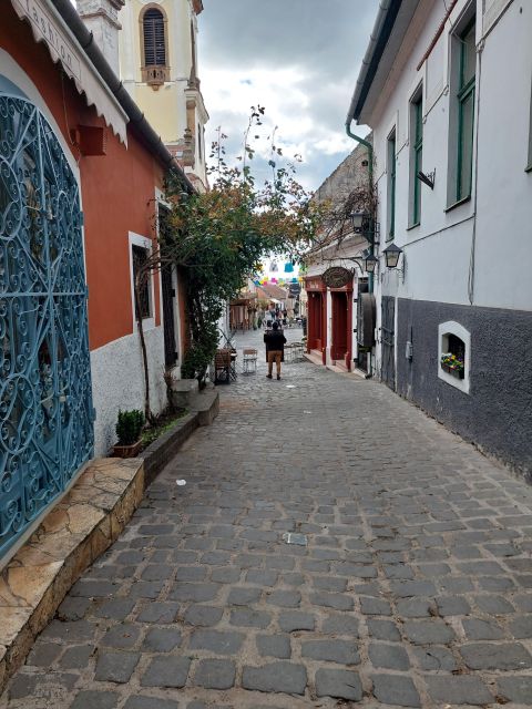 Szentendre: Half-Day Private Tour from Budapest - Galleries and museums: letting your guide pick the best fit