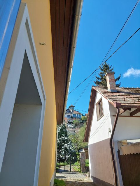 Szentendre: Half-Day Private Tour from Budapest - Shopping and Serbian-influenced finds without the tourist trap feeling