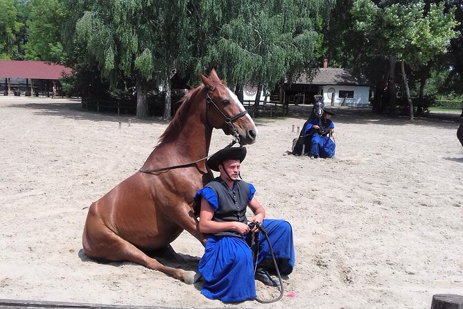 The "Puszta" Horse Show - From Budapest to Kecskemét, a quick culture shift