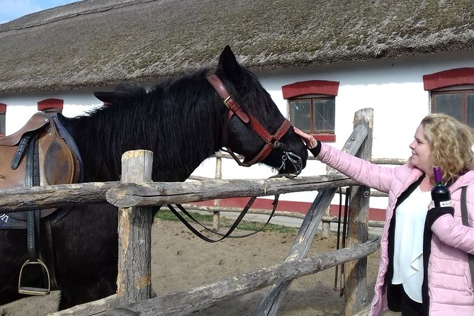 The "Puszta" Horse Show - Lajosmizse stables and the Puszta horse show you can photograph