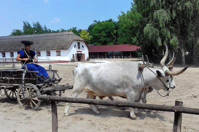 The "Puszta" Horse Show - Timing, price value, and getting to the start point
