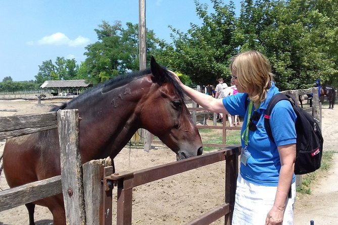 The "Puszta" Horse Show - Who this Puszta day trip suits best