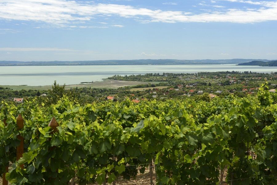 The Turquoise Sea of Hungary: Lake Balaton Private Tour - Balatonfüred Promenade: Villas, Writers, and an Easy Stroll