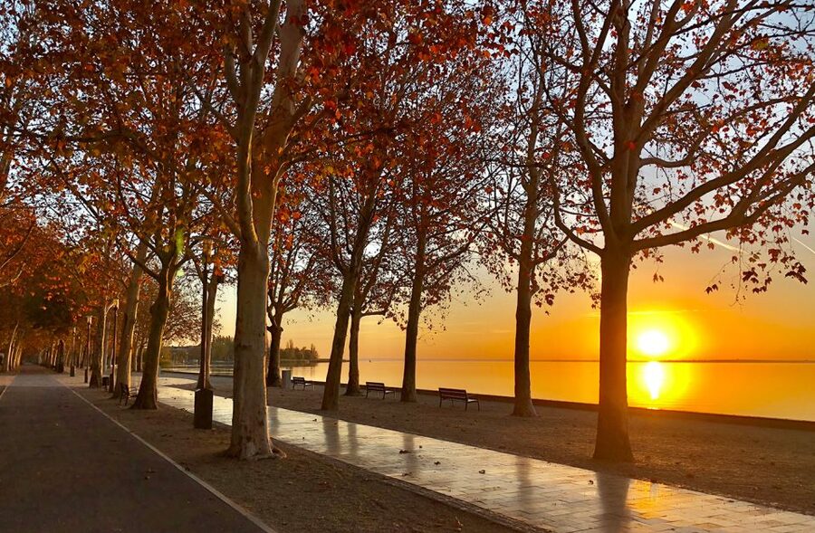 The Turquoise Sea of Hungary: Lake Balaton Private Tour - Price and Value: Is $235 Per Person a Smart Use of a Budapest Day?
