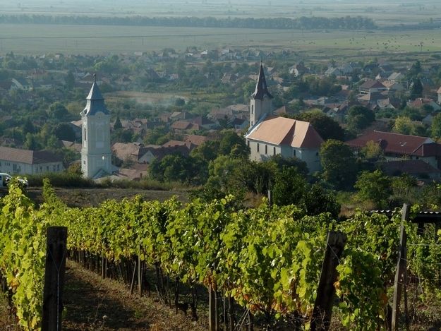 Tokaj Private Day Tour from Budapest - Price and value for a private group up to 6