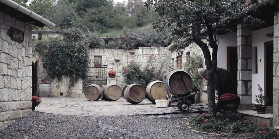 Tokaj Private Day Tour from Budapest - Mád and Bodrogkeresztúr vineyards: what to look for outside the cellar