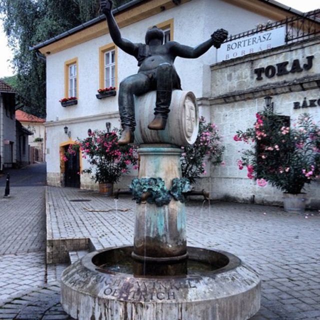 Tokaj Private Day Tour from Budapest - What is included, what is not, and the one extra fee to watch for