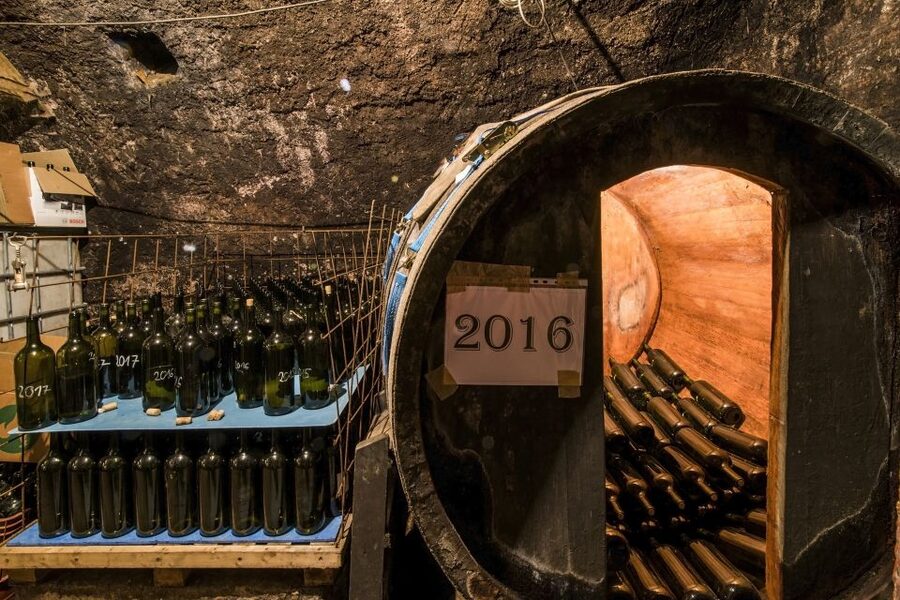 Tokaj Private Day Tour from Budapest - Practical tips for a smooth Tokaj day trip