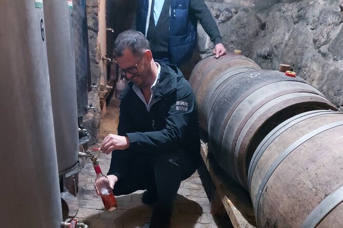 Wine Tasting in the Countryside from Budapest - Key things that make this wine tour worth your time