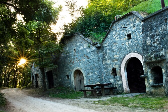 Wine Tasting in the Countryside from Budapest - Hobbit-burrow cellars, 20 minutes from the city