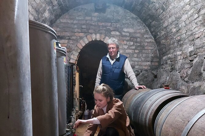 Wine Tasting in the Countryside from Budapest - How the 11:00 am pickup works in central Budapest