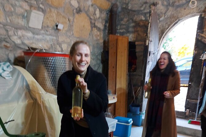 Wine Tasting in the Countryside from Budapest - The guide makes or breaks it, and this one leans human