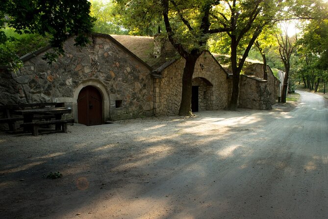 Wine Tasting in the Countryside from Budapest - Paty-area wineries: tasting flow designed by the guide